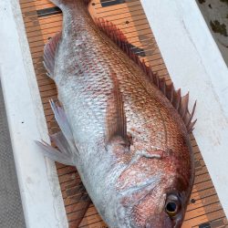 釣人家 釣果