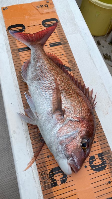 釣人家 釣果