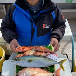 釣人家 釣果