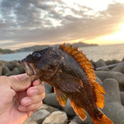 2日連続釣行