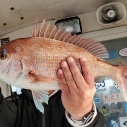 遊漁船　ニライカナイ 釣果