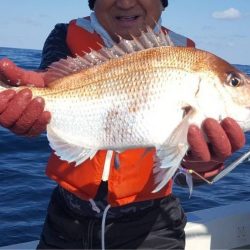 海峰 釣果