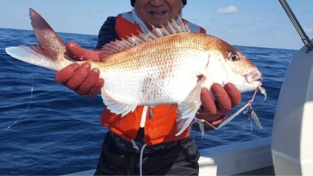 海峰 釣果