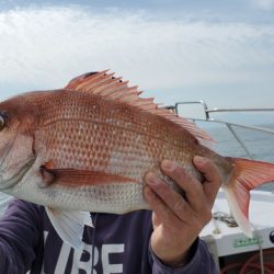 遊漁船　ニライカナイ 釣果