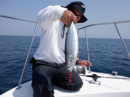 開進丸 釣果