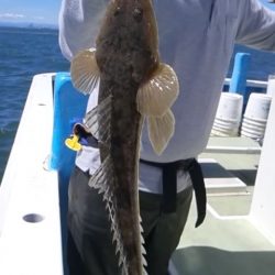 さわ浦丸 釣果