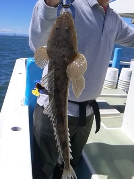 さわ浦丸 釣果