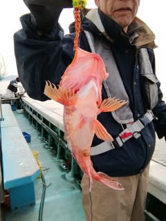 松福丸 釣果