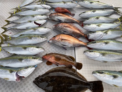 ミタチ丸 釣果