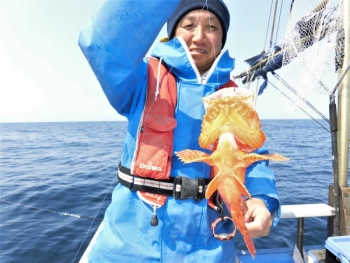 鯛紅丸 釣果