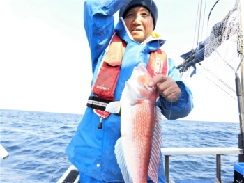 鯛紅丸 釣果