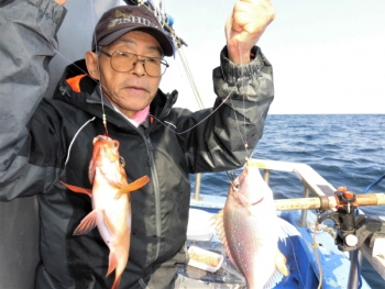 鯛紅丸 釣果