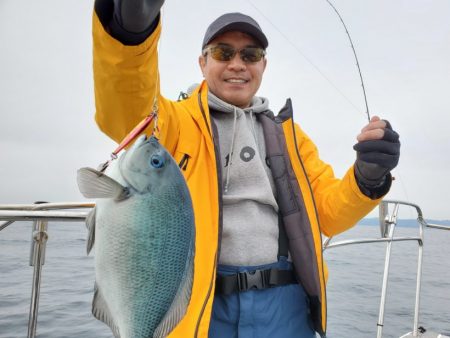 ブルーピア 釣果