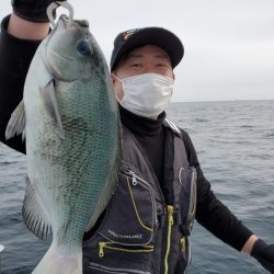 ブルーピア 釣果