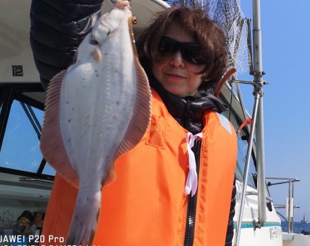 ふじしま 釣果