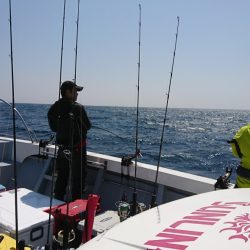 海龍丸（福岡） 釣果