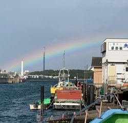 太田屋 釣果