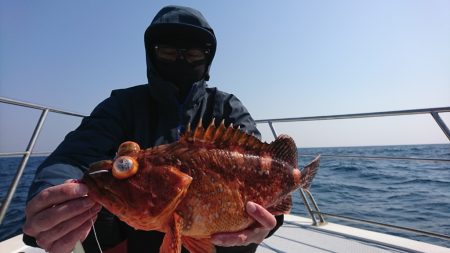 海龍丸（福岡） 釣果