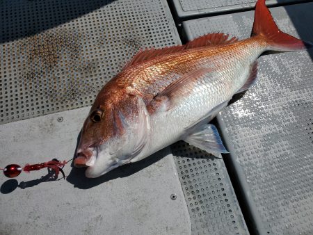 珀宝丸 釣果