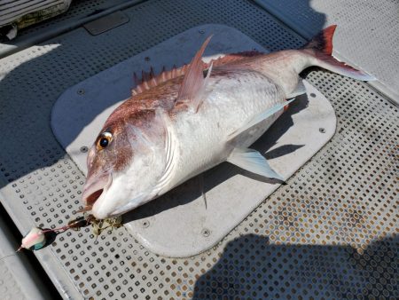 珀宝丸 釣果