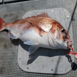 珀宝丸 釣果