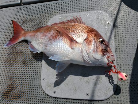 珀宝丸 釣果