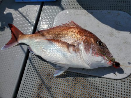 珀宝丸 釣果