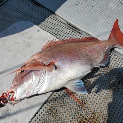 珀宝丸 釣果