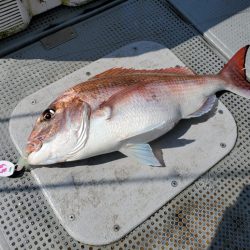 珀宝丸 釣果