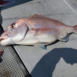 珀宝丸 釣果