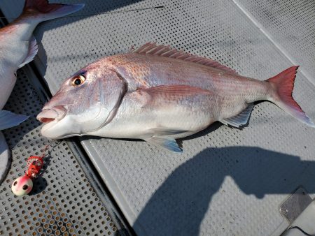 珀宝丸 釣果