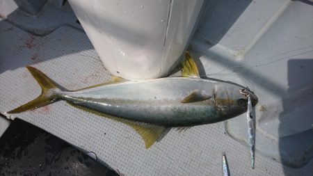 海龍丸（福岡） 釣果