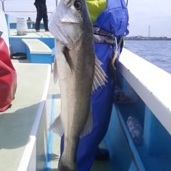 さわ浦丸 釣果