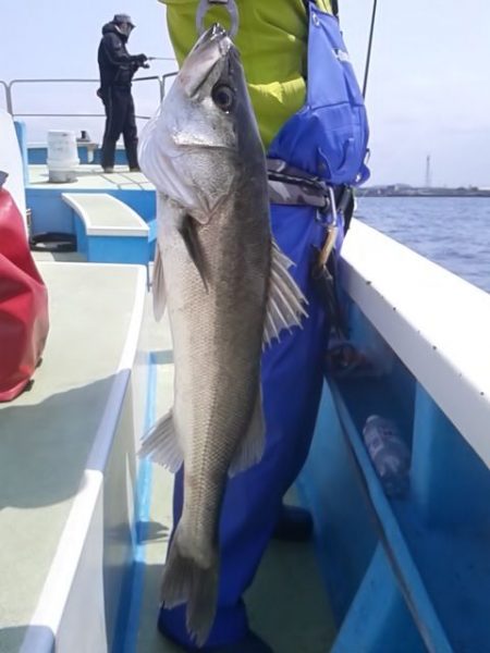 さわ浦丸 釣果