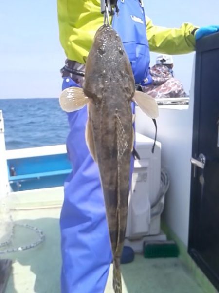 さわ浦丸 釣果