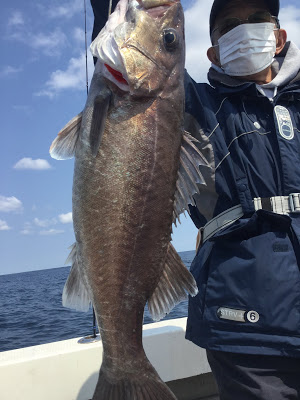 凪紗丸 釣果