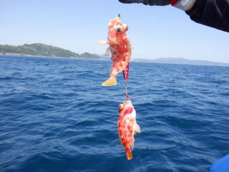 開進丸 釣果