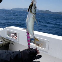 開進丸 釣果