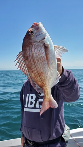 遊漁船　ニライカナイ 釣果