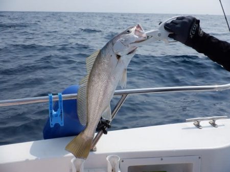 開進丸 釣果