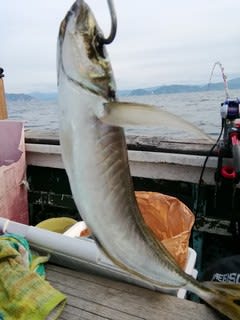 松福丸 釣果