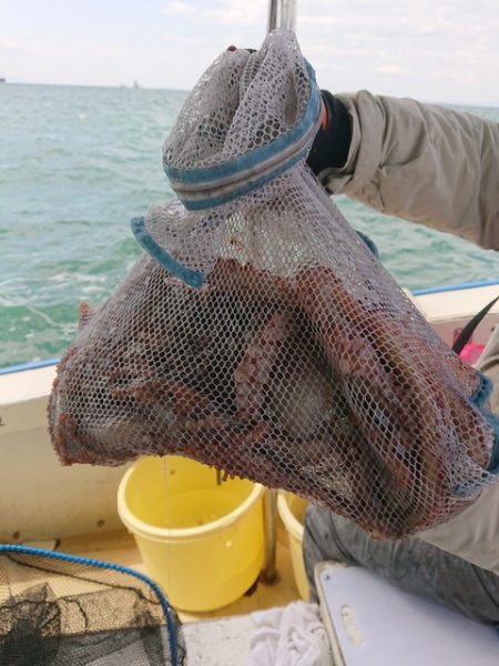 たかみ丸 釣果