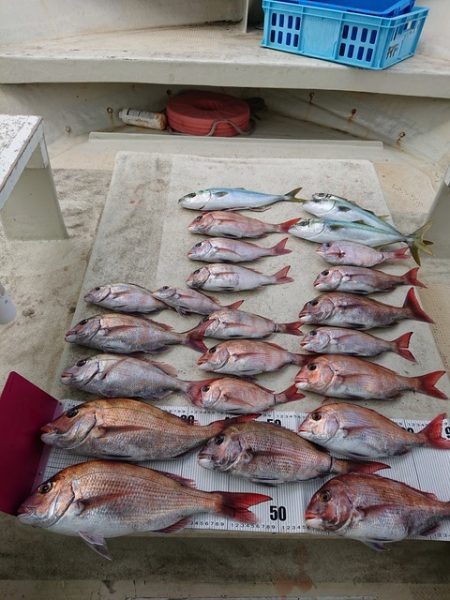 たかみ丸 釣果