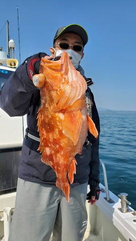 遊漁船　ニライカナイ 釣果