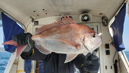 遊漁船　ニライカナイ 釣果