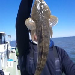 さわ浦丸 釣果