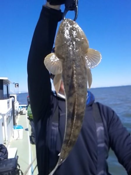 さわ浦丸 釣果