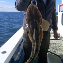 さわ浦丸 釣果