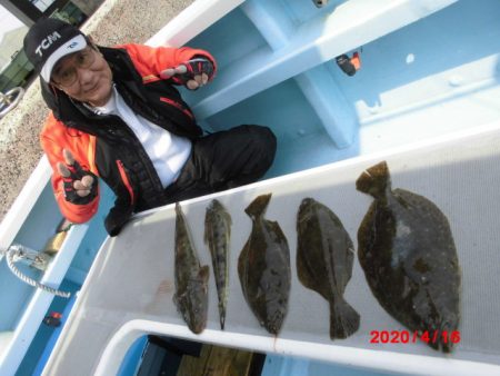 まとばや 釣果