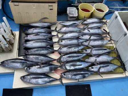 三吉丸 釣果